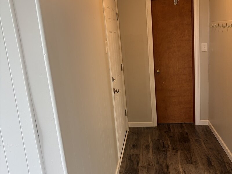 423 W Minnesota Street Spring Valley IL 61362