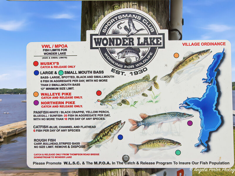 4115 Westwood Drive Wonder Lake IL 60097