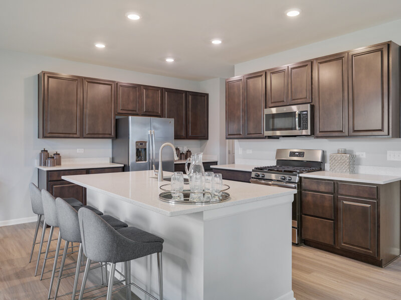 1794 Coralito Lane Elgin IL 60124