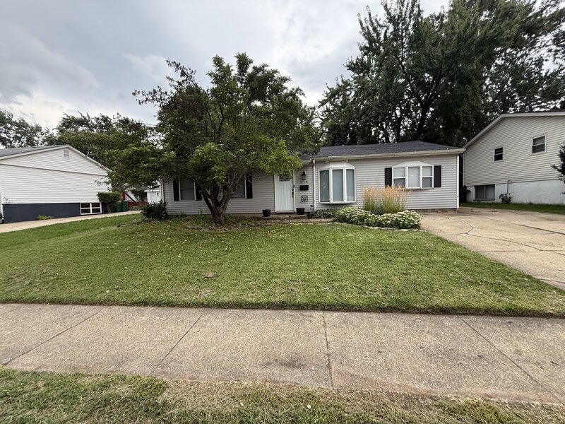 219 Murphy Drive Romeoville IL 60446