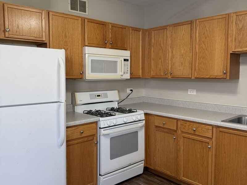 1233 N Split Oak Circle Round Lake Beach IL 60073