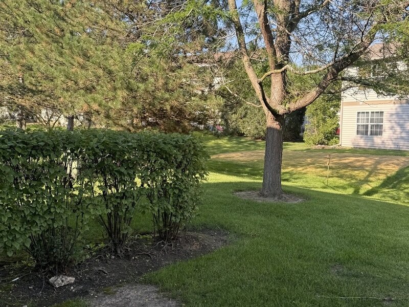 1233 N Split Oak Circle Round Lake Beach IL 60073