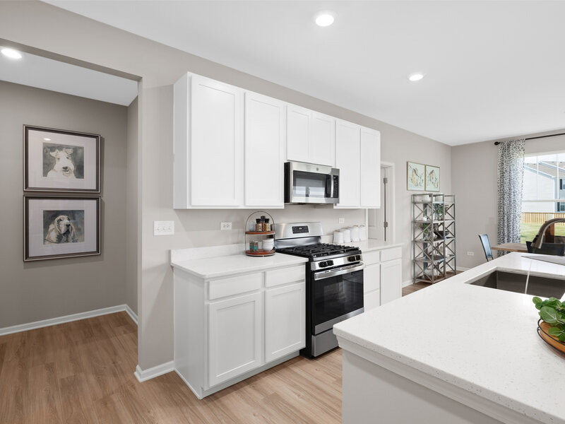 1458 Pinehill Street South Elgin IL 60177