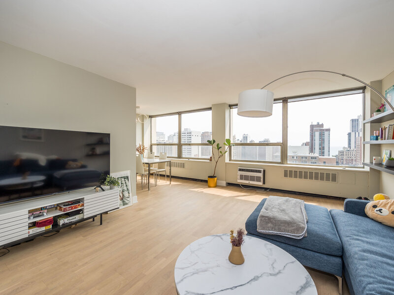 1355 N Sandburg Terrace Chicago IL 60610