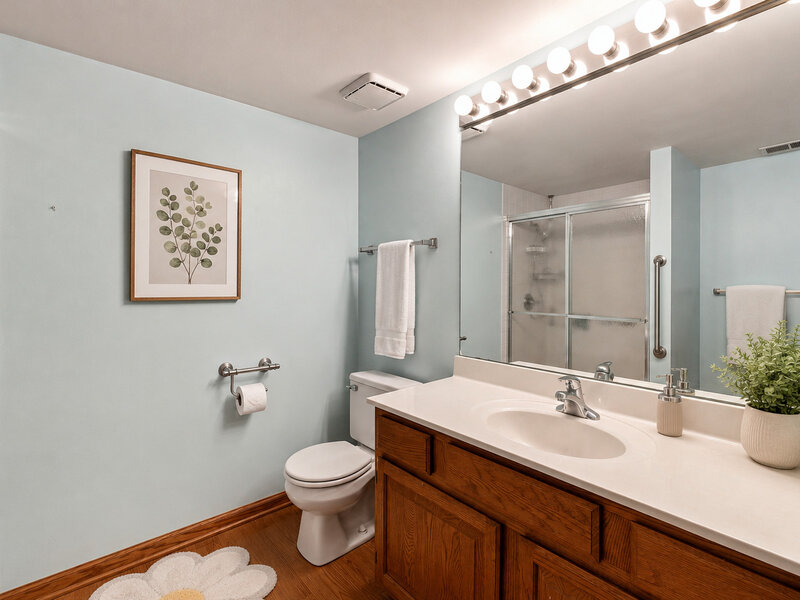 18075 Royal Oak Court Tinley Park IL 60477