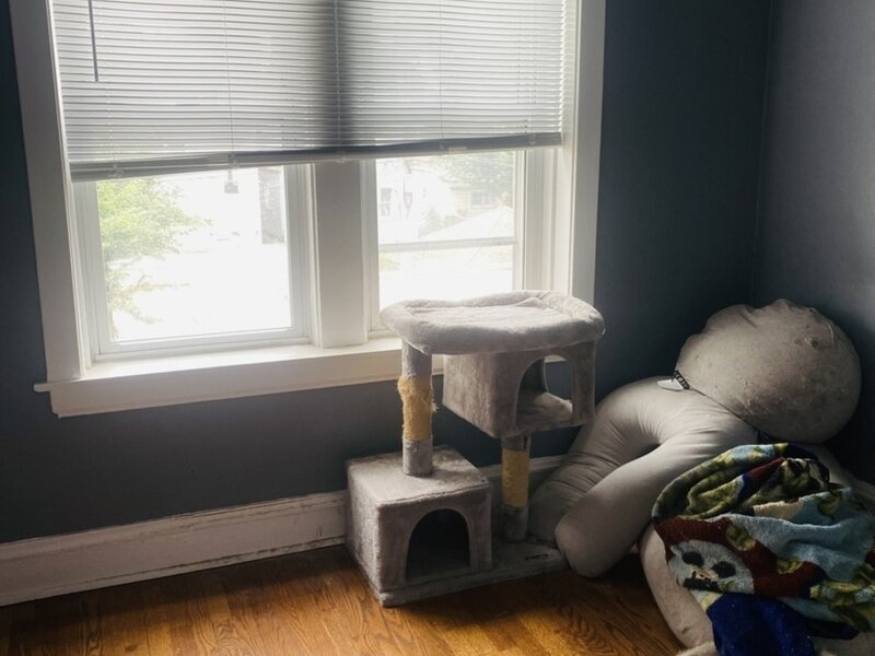 2429 W Foster Avenue Chicago IL 60625