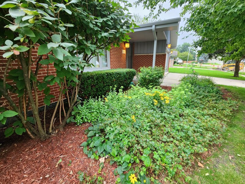 639 Poplar Avenue Romeoville IL 60446