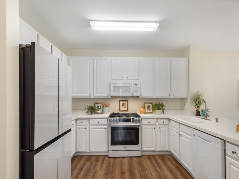 828 Amelia Court Grayslake IL 60030