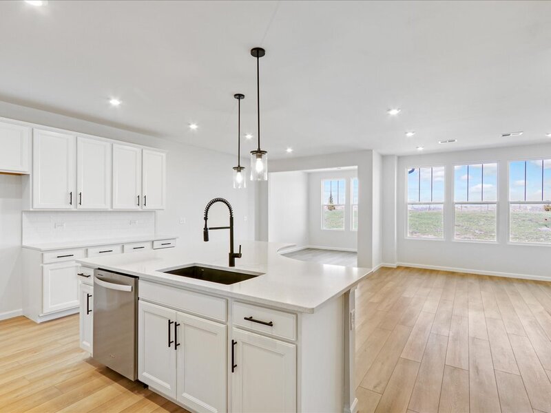 717 Maidengrass Way Bolingbrook IL 60490