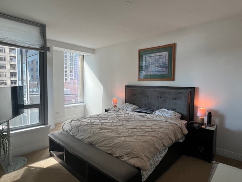 600 N Lake Shore Drive Chicago IL 60611