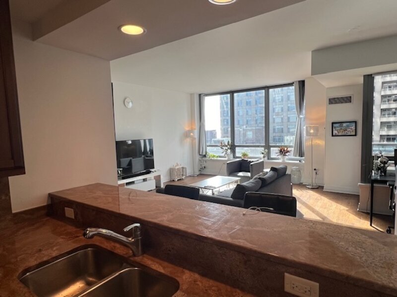 600 N Lake Shore Drive Chicago IL 60611
