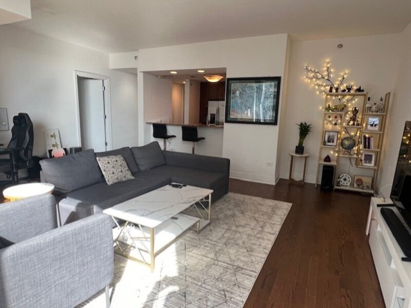 600 N Lake Shore Drive Chicago IL 60611