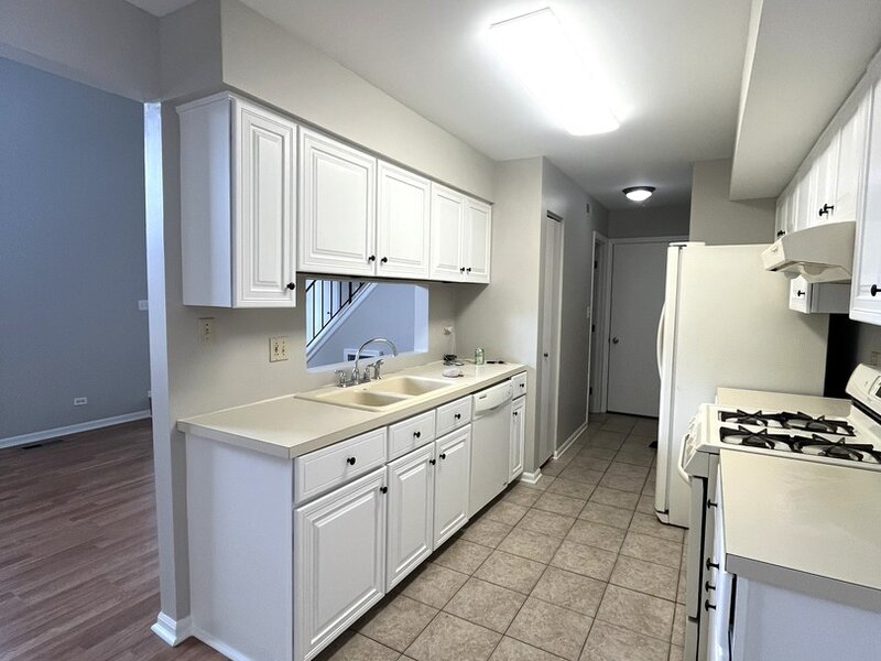 341 Wisteria Drive Streamwood IL 60107
