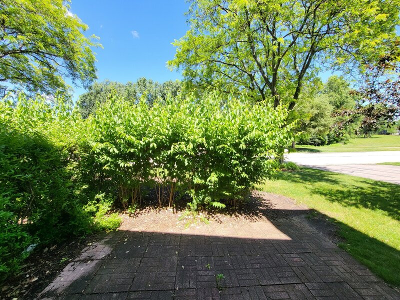 341 Wisteria Drive Streamwood IL 60107
