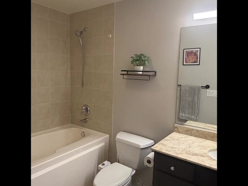 1151 W 14th Place Chicago IL 60608