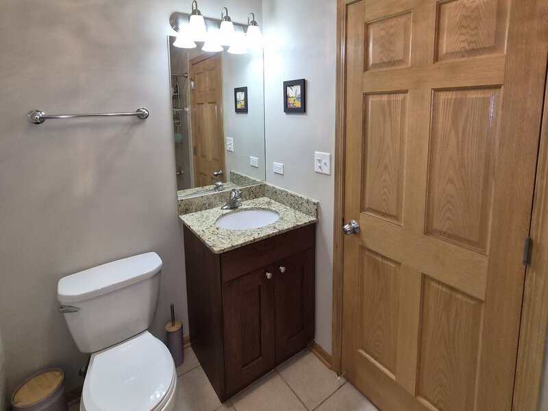 3745 S Michigan Avenue Chicago IL 60653