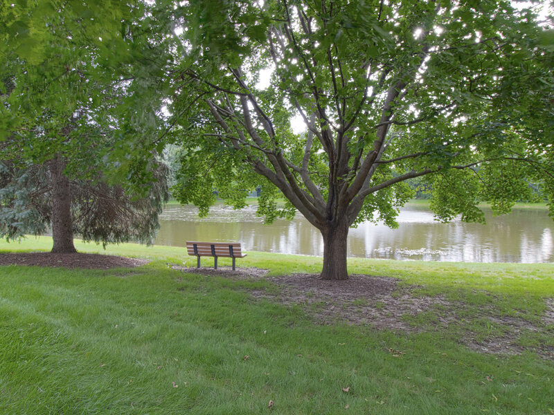 605 Pheasant Trail St. Charles IL 60174