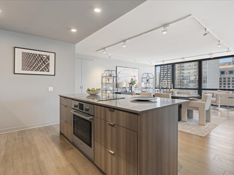 910 N Lake Shore Drive Chicago IL 60611
