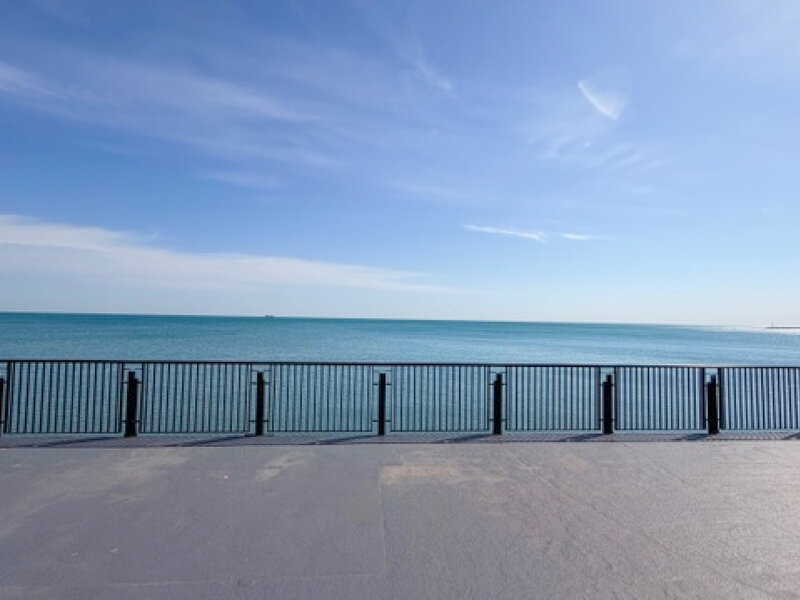 7337 S South Shore Drive Chicago IL 60649