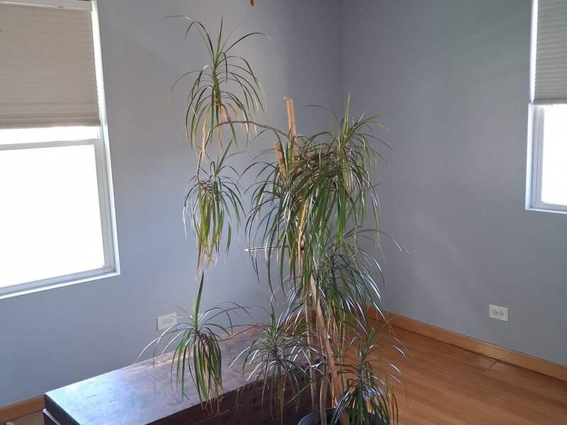 3005 Lincoln Street Franklin Park IL 60131