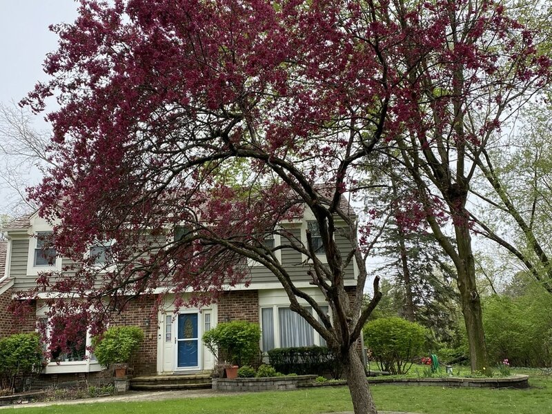 5544 Oak Grove Drive Long Grove IL 60047