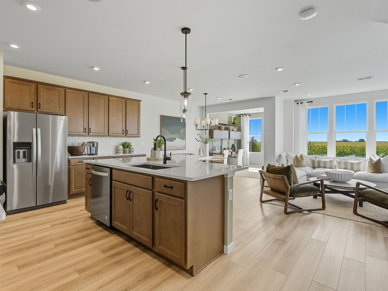 745 Dropseed Lane Bolingbrook IL 60490