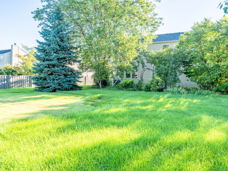 1401 Bridgehampton Drive Plainfield IL 60586