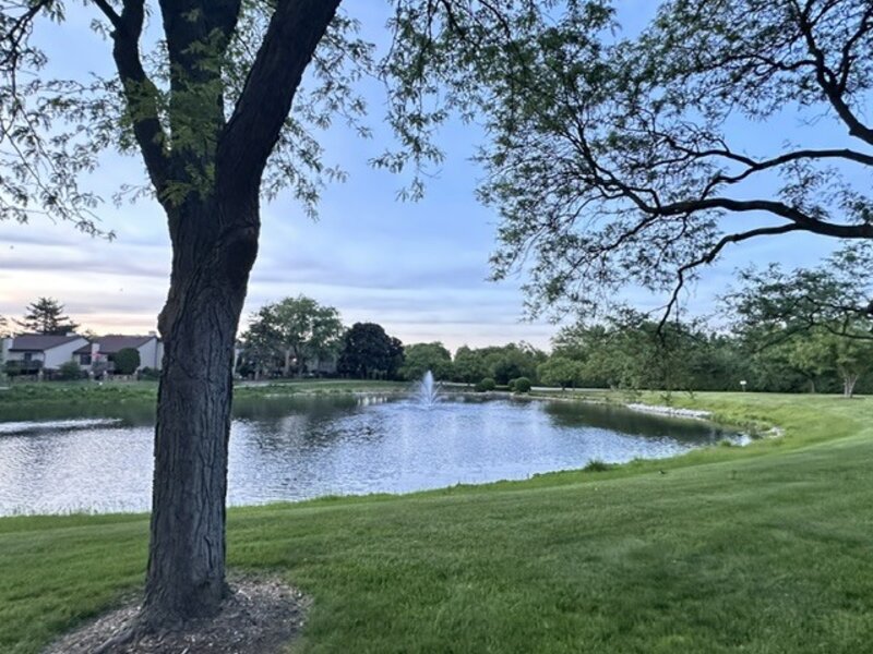 12 Kent Court Willowbrook IL 60527