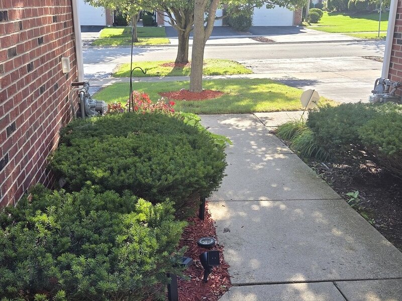 916 Berry Path Trail Matteson IL 60443