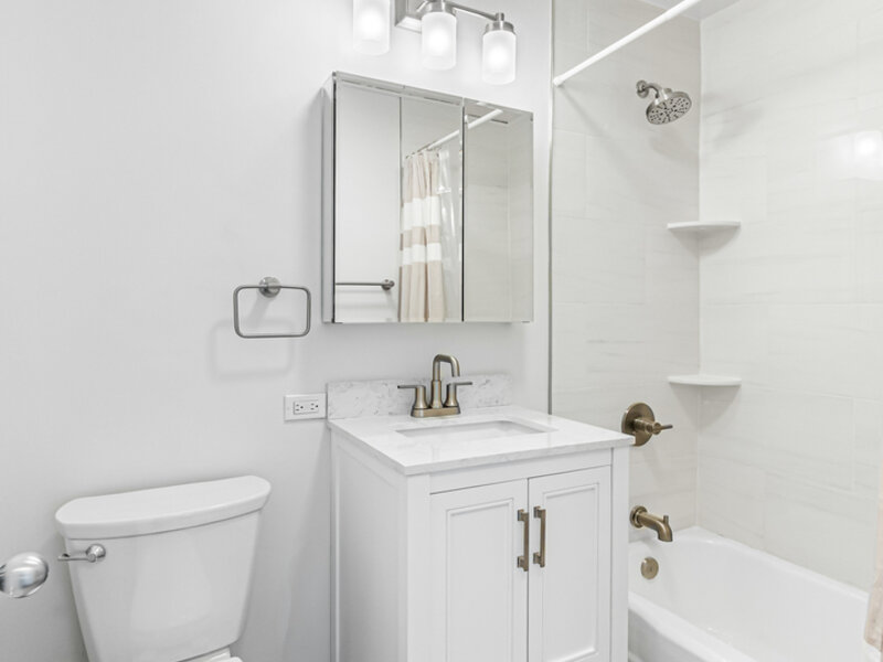 1360 N Sandburg Terrace Chicago IL 60610