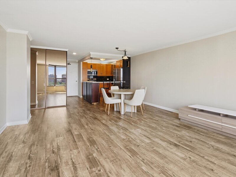 901 S Plymouth Court Chicago IL 60605