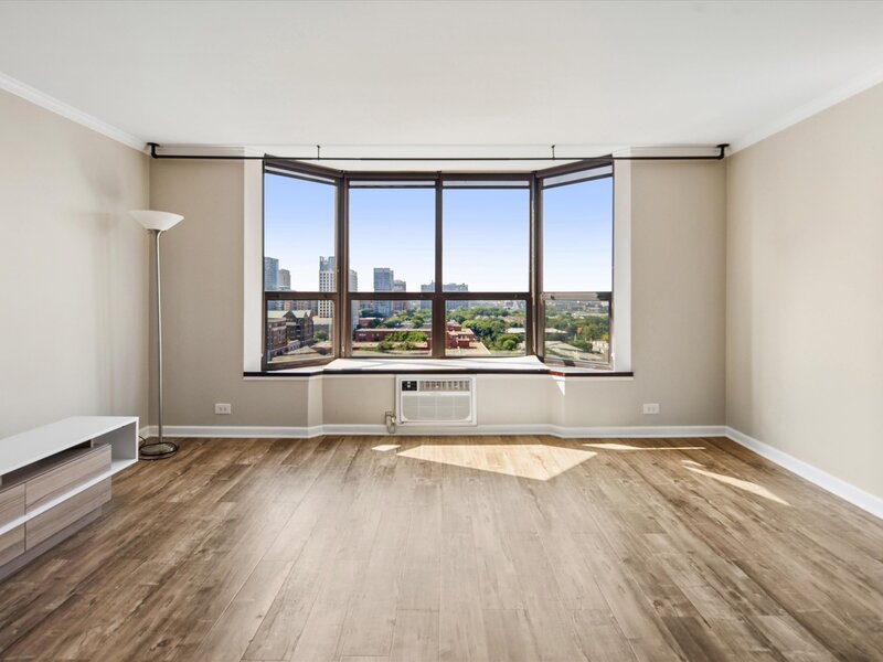 901 S Plymouth Court Chicago IL 60605