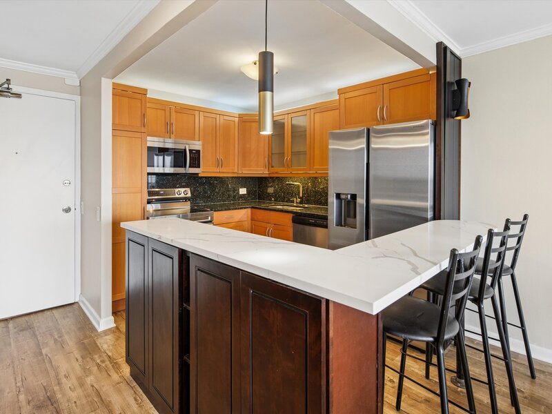 901 S Plymouth Court Chicago IL 60605