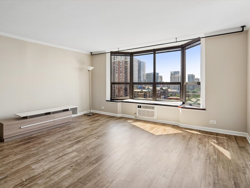 901 S Plymouth Court Chicago IL 60605
