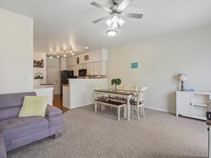 1041 Parkhill Circle Aurora IL 60502