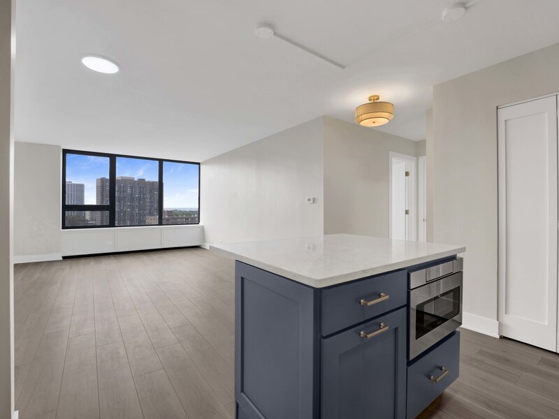 3930 N Pine Grove Avenue Chicago IL 60613