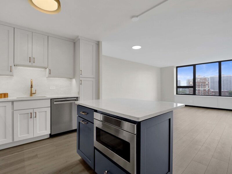 3930 N Pine Grove Avenue Chicago IL 60613
