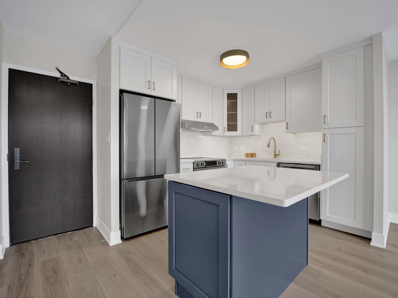 3930 N Pine Grove Avenue Chicago IL 60613