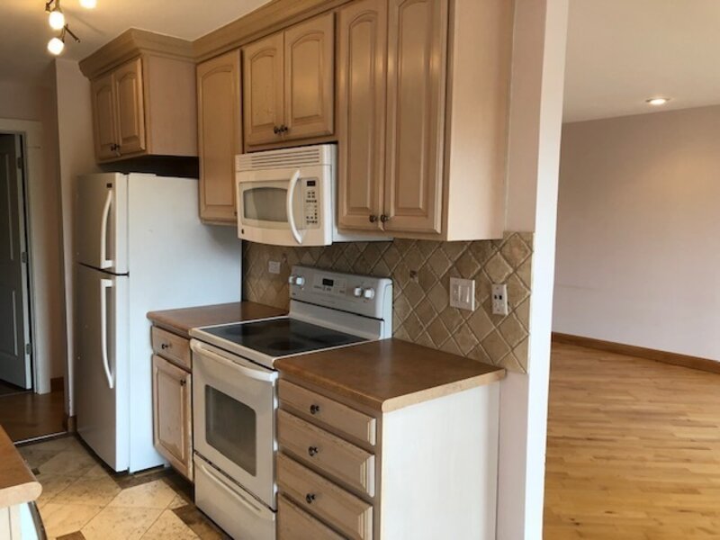 725 W Huntington Commons Road Mount Prospect IL 60056