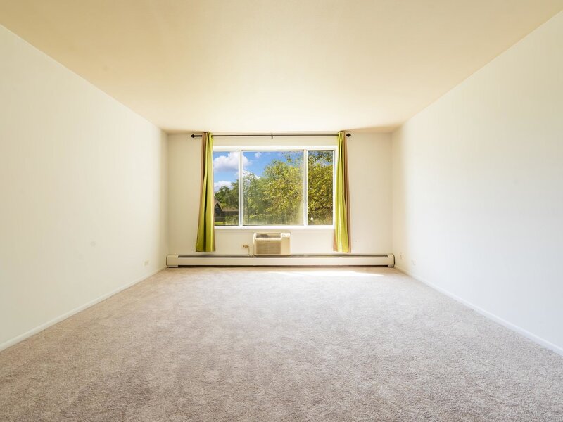 1375 Rebecca Drive Hoffman Estates IL 60169