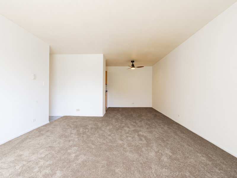 1375 Rebecca Drive Hoffman Estates IL 60169