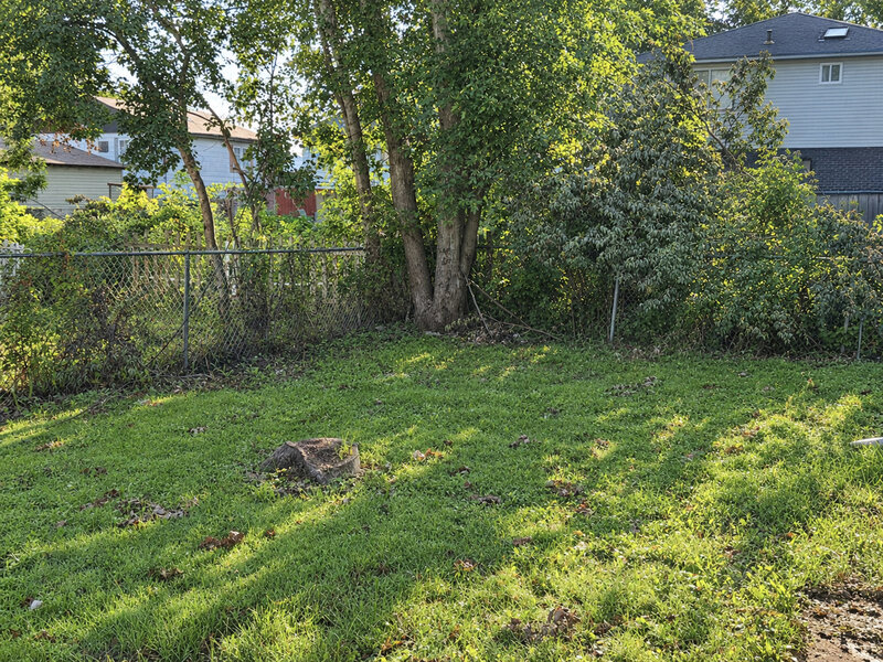 16247 Paulina Street Markham IL 60428
