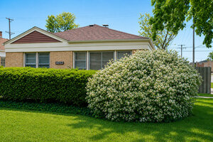 Photo of 4253 Prescott Avenue Lyons IL 60534