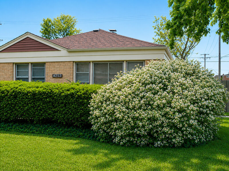4253 Prescott Avenue Lyons IL 60534