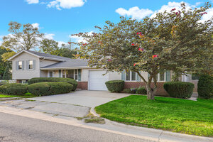 Photo of 5455 S Catherine Avenue Countryside IL 60525