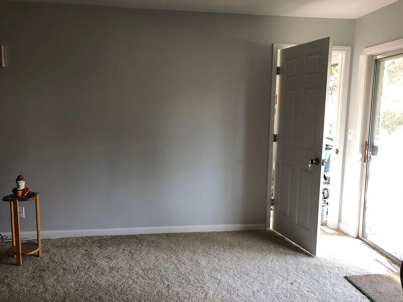 1036 Auburn Lane Buffalo Grove IL 60089