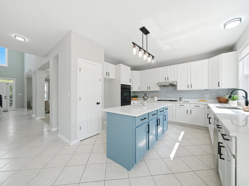 1379 W Deer Court Palatine IL 60067