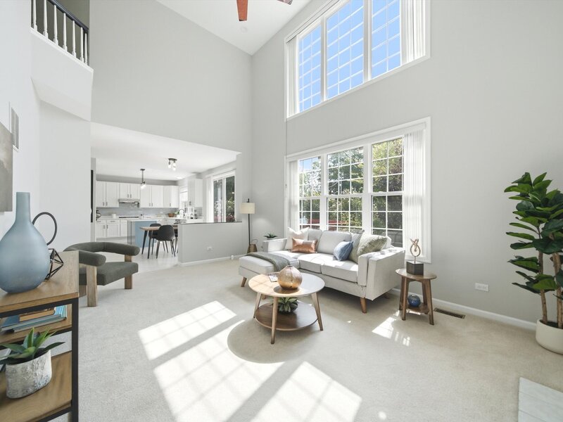 1379 W Deer Court Palatine IL 60067