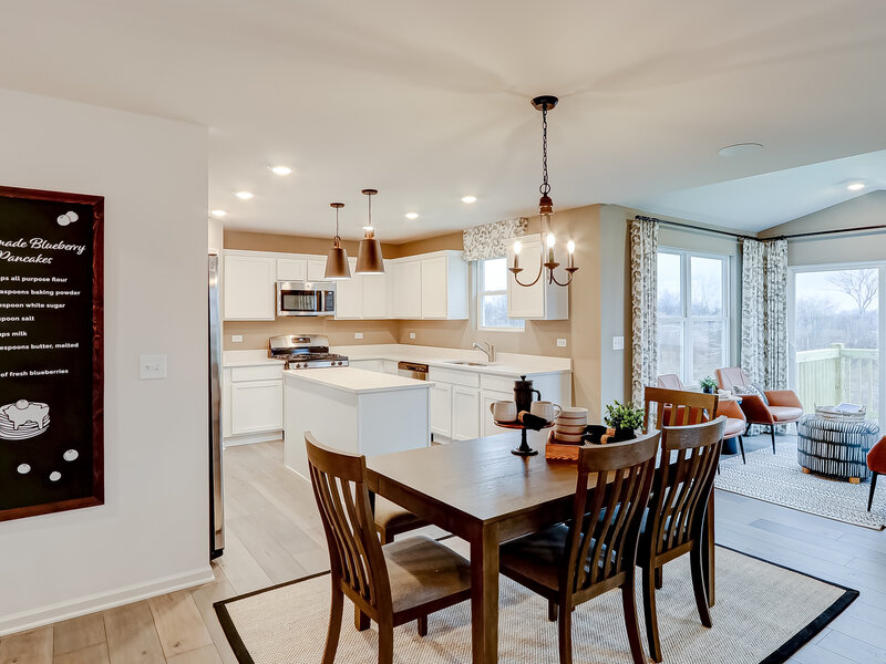 325 Monica Lane Oswego IL 60543