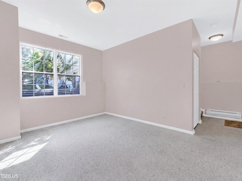 1689 W Turtle Creek Lane Round Lake IL 60073